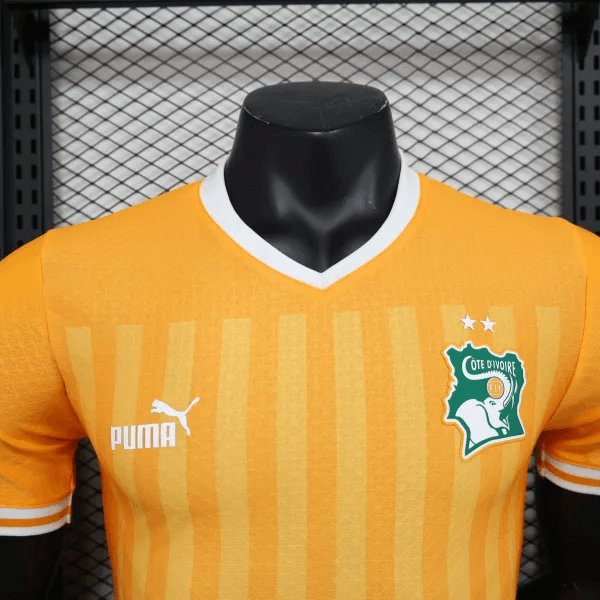 2022 Player Version Côte d'Ivoire National Team Home Shirt