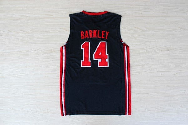 1：1Double layer solid embroidery player version Mengyi replica #14 Barkley blue suit