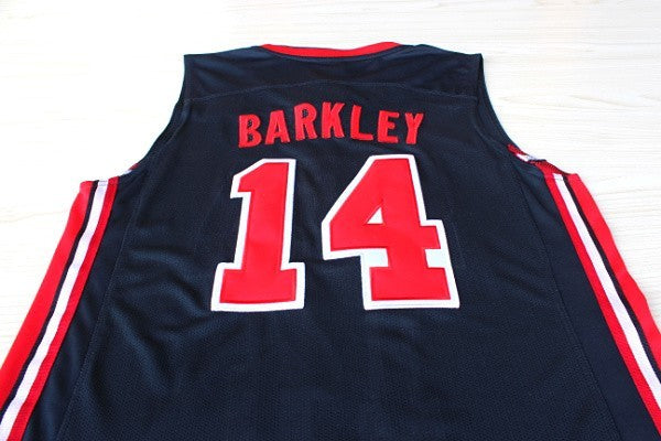 1：1Double layer solid embroidery player version Mengyi replica #14 Barkley blue suit