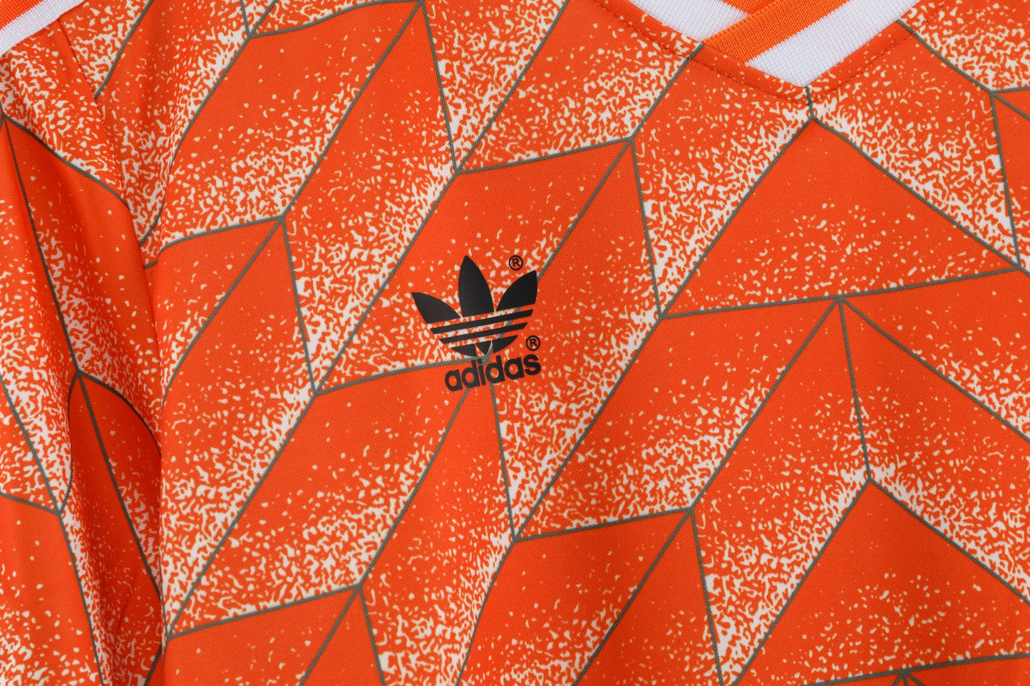 1988 season Netherlands home court