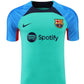 2022/2023 Barcelona Jersey Training Wear Green Blue