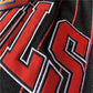 Chicago Bulls JUST DON co-branded shorts-vertical stripes