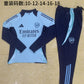 2024-25 Arsenal Light Blue Football Half Pull Training Suit