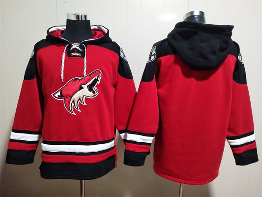 Arizona Coyotes Hoodie Blanko-Version