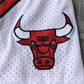 Chicago Bulls JUST DON co-branded shorts Chicago version